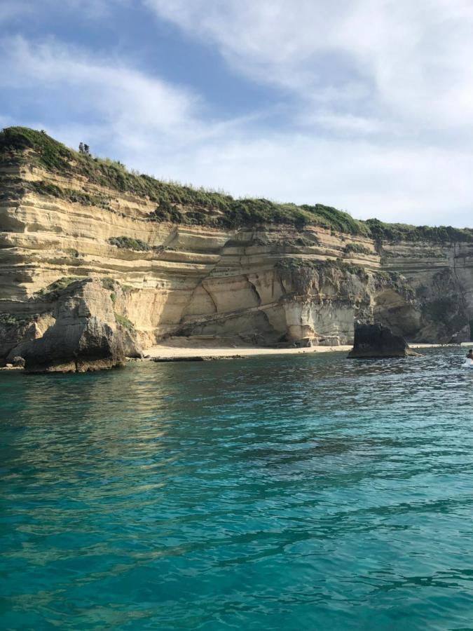 Villa Rosa Tropea Exteriör bild